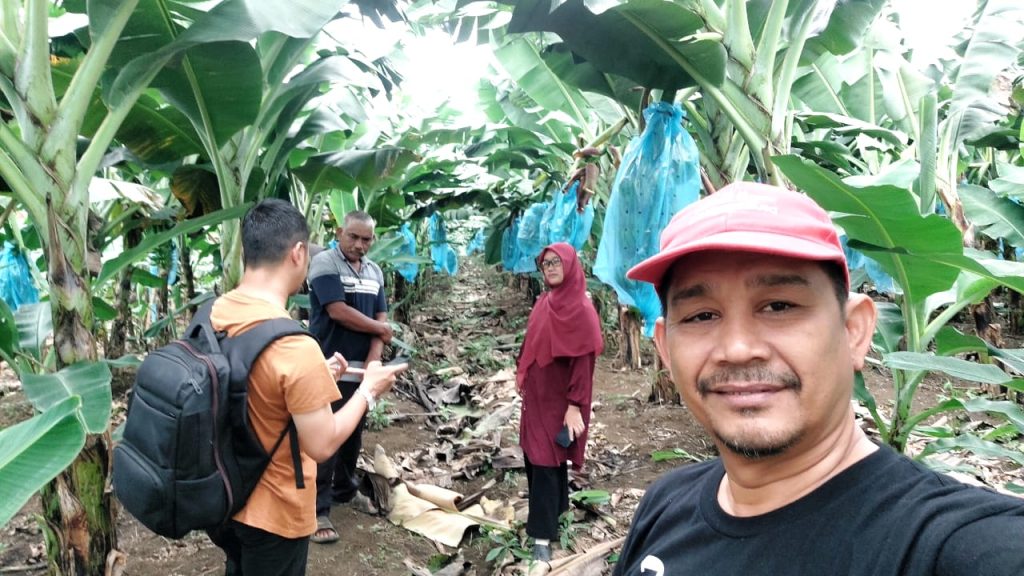 Penjajakan Awal